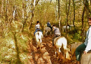 les-constancies-horseriding